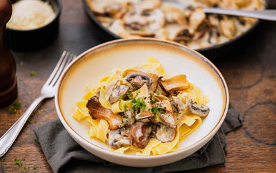 Weine zu gemischten Pilzen an Pappardelle + Rezept